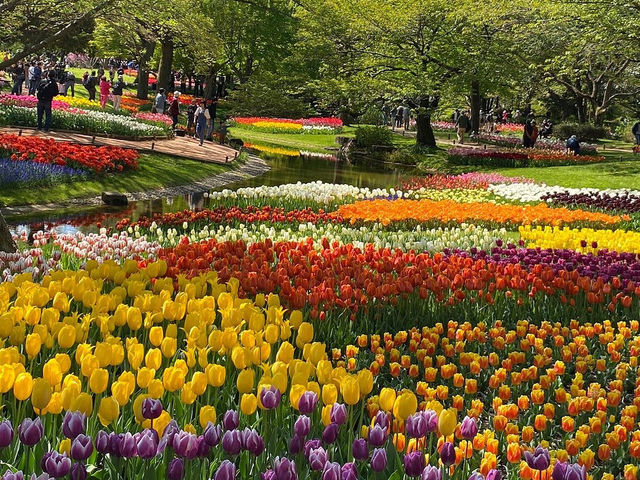 Showa Kinen (Memorial) Park