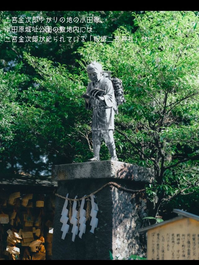 【神奈川県/小田原】意外と楽しめる小田原城🏯行ってみない？