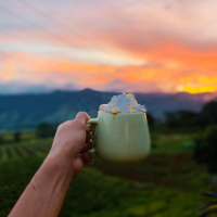 CAFE SA BUKID | Lantapan Bukidnon