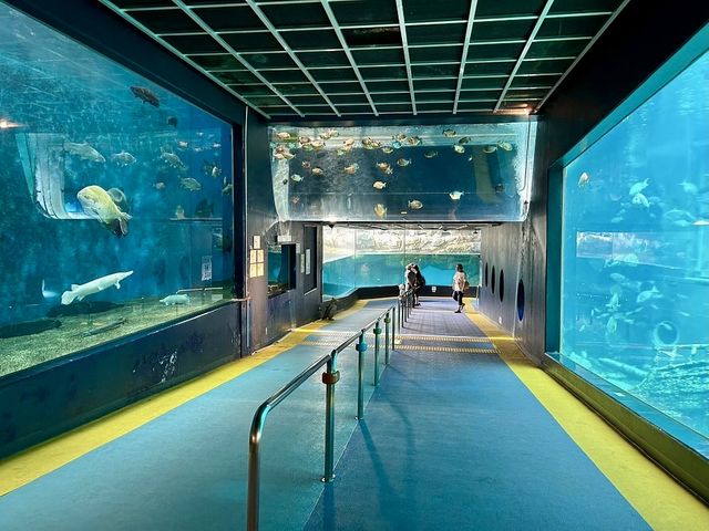 An aquarium in Hakone
