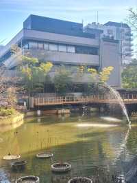 神戸のパワースポット生田神社