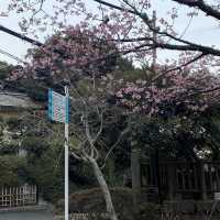 “Enoshima” วันเดียวเที่ยวไม่พอ