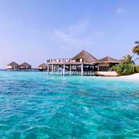 Adaaran Prestige Vadoo Maldives-day trip 