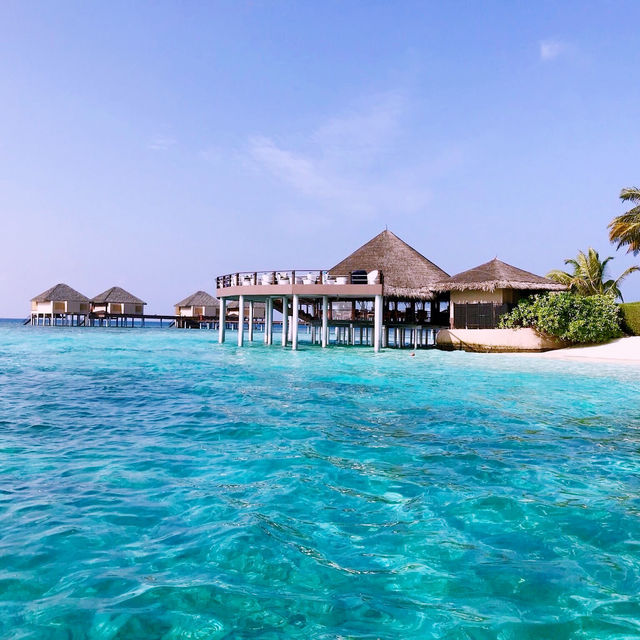 Adaaran Prestige Vadoo Maldives-day trip 