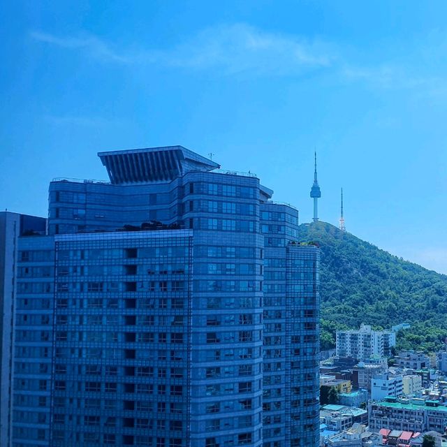 프랑스 박물관 같은 레스케이프