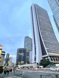 【新栄稲荷神社/東京都】西新宿の高層ビルに囲まれた神社