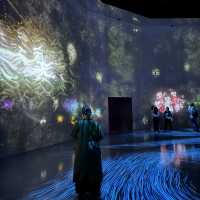 Immerse in teamLab Borderless, Tokyo