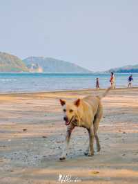 📍น้ำใสมาก!! หาดสามร้อยยอด ใกล้กรุงเทพฯ