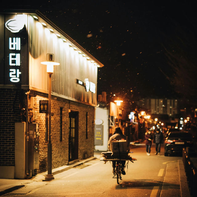 Blossom-Filled Exploration of Korea's Streets