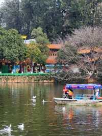 쿤밍 시내에서 자연을 느낄 수 있는 추이후공원(취호공원)