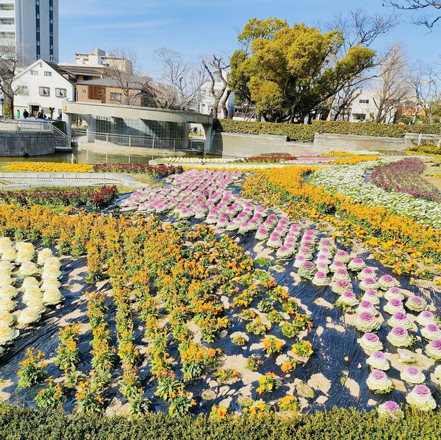 Charm of Japanese springtime, Sumiyoshi Park🌸