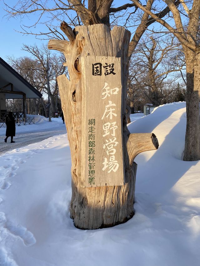 2024年流氷！知床八景の夕陽台