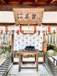【京都】玉の輿にのれるかも？良縁祈願で有名な今宮神社⛩❤️