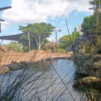Must Do Taronga Zoo