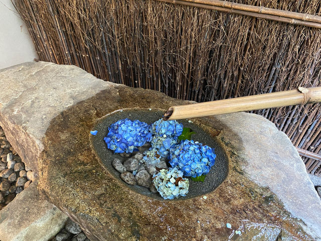 都会のど真ん中の温泉旅館♨️