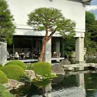 「銀河庭園：春天好去處」