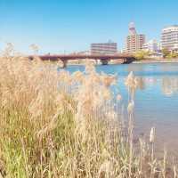 日本の名水！高知県の鏡川