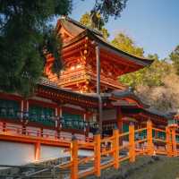 多賀大社：古老神社，幽靜祥和的神域之鄉