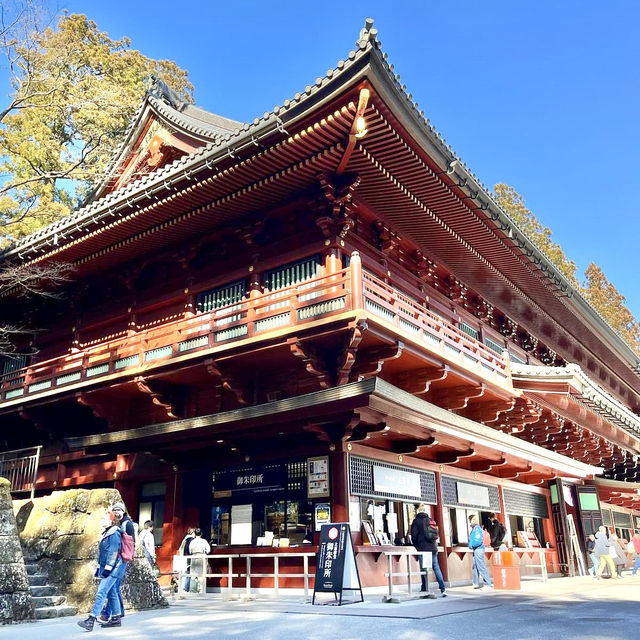 🏯 Unveiling the Splendor of Toshogu Shrine 🌸🍃