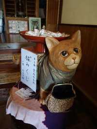 【山口】猫好きさん必見！猫だらけのお寺♡