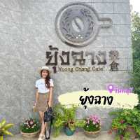 ยุ้งฉางคาเฟ่ คาเฟ่ทุ่งดอกปอเทืองกลางเมืองจันทบุรี