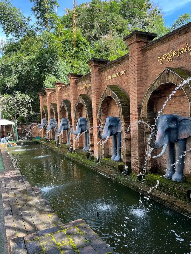 Chiang Mai Zoo