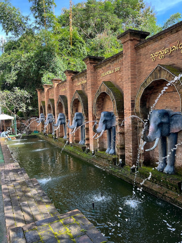 Chiang Mai Zoo 