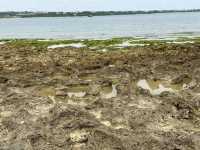 沖縄・石垣島。木々をくぐり抜けると現れる宮良湾の海岸『大浜海岸』