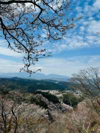 【奈良・吉野】一目で千本の桜をながめる