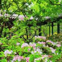 澳門三角花園：絕美自然王國