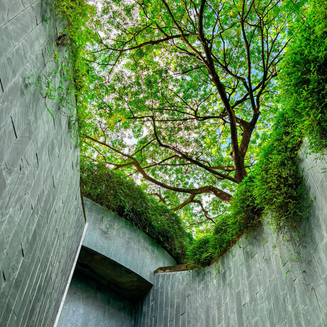 Fort Canning Tree Tunnel