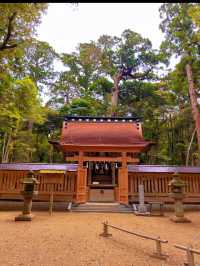 【茨城】神秘的な神社⛩最強パワースポット✨