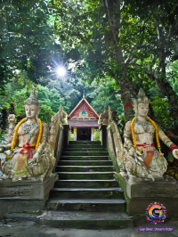 Chiang Mai Escape: Motorcycle Madness!
