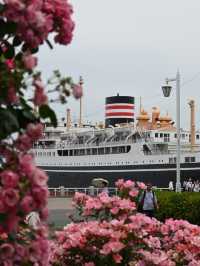 薔薇が咲き誇る！ガーデンネックレス横浜2024