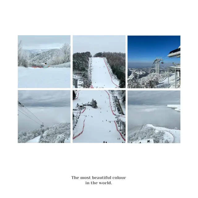 札幌國際滑雪場：豐富滑雪體驗