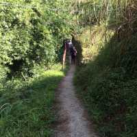 Lumiang Burial Cave in Sagada 
