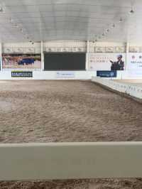 【深圳-一日體驗騎馬餵馬 🐎】