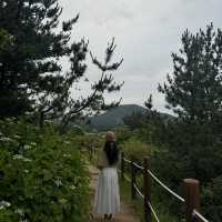 제주에서 가장 예쁜 오름은 여기 !! 🏔️