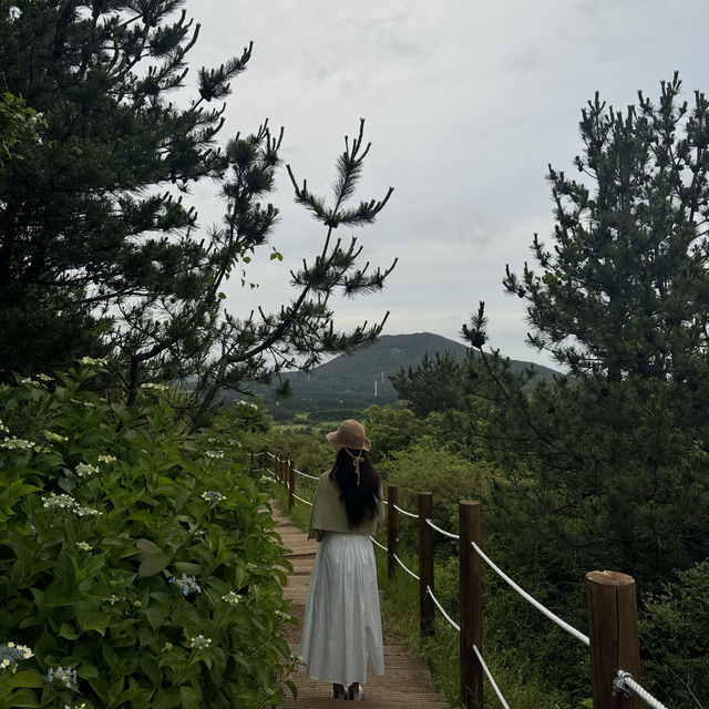 제주에서 가장 예쁜 오름은 여기 !! 🏔️