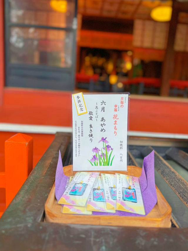 【群馬】戌・亥年の方に行ってほしい!!御朱印がかわいい🤍紫陽花見頃なパワスポ✨