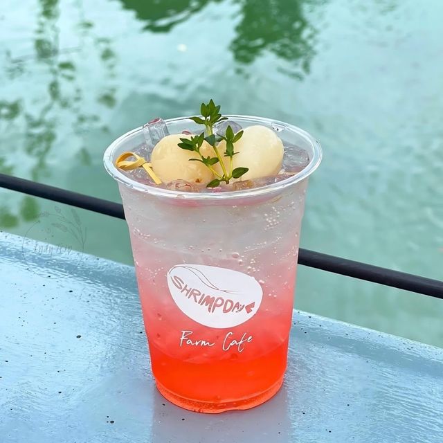 🍶 Shrimpday Farm Cafe คาเฟ่สุดชิลล์