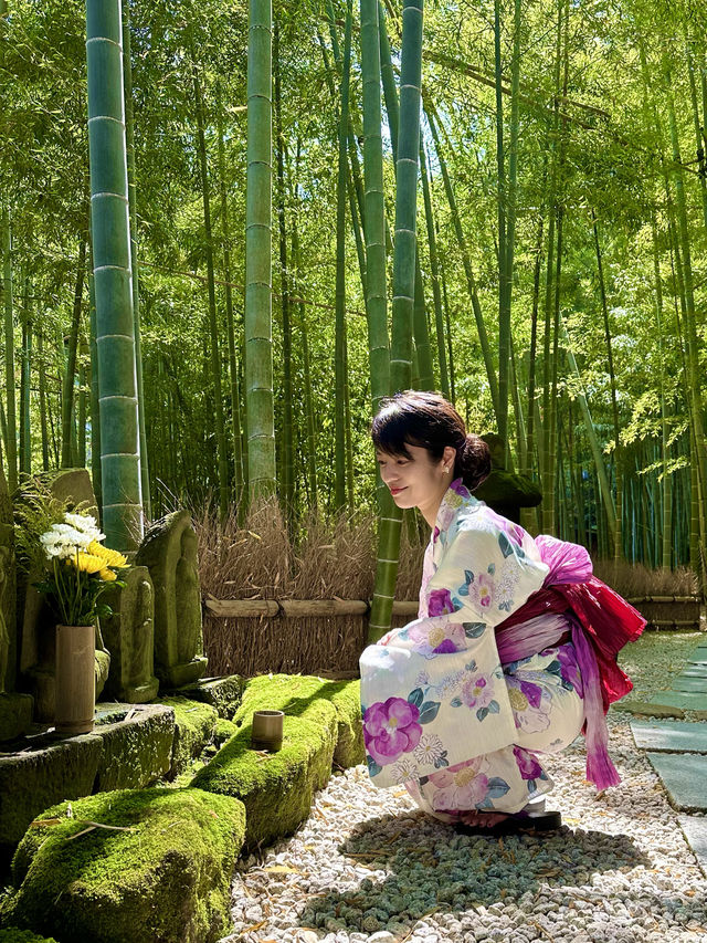 〜神奈川県〜1度は行こう🎋爽やか鎌倉の名スポット