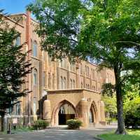 Serene Strolls at Hokkaido University