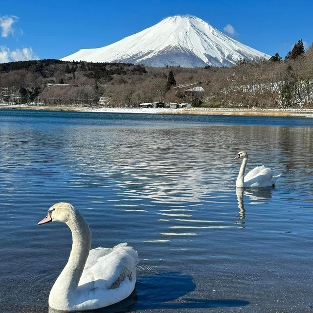 Mirror to the Soul: Lake Yamanaka's Ethereal Beauty 