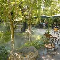 ☕ Plantnery Green Cafe