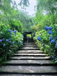 【鎌倉】季節ごとの花が楽しめる［日本遺産］明月院