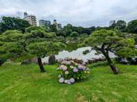 日本東京-靜謐清幽的名石山水園邸：清澄庭園
