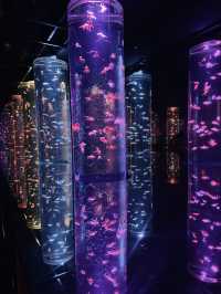 【東京都】雨の日観光にもおすすめ『アートアクアリウム美術館』