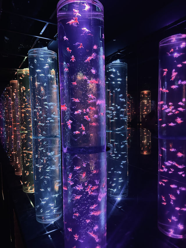 【東京都】雨の日観光にもおすすめ『アートアクアリウム美術館』