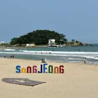 부산 해운대 가볼만한곳 송정해수욕장&죽도공원